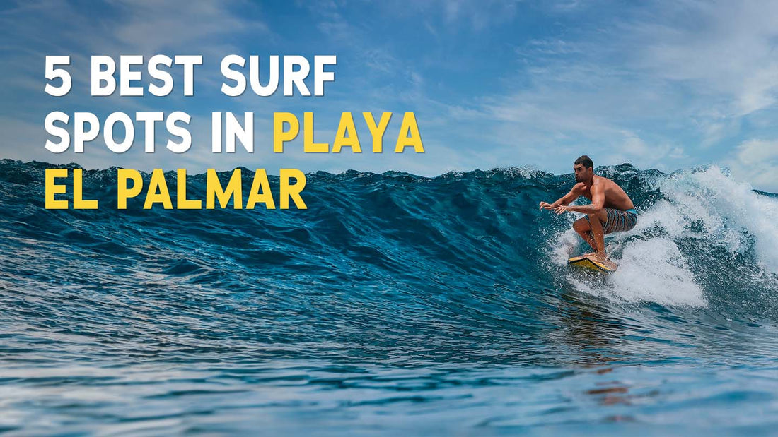 5 Best Surf Spots in Playa El Palmar