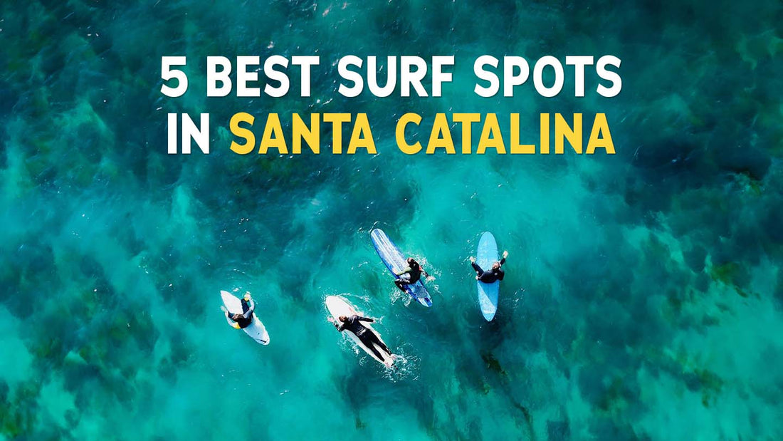 5 Best Surf Spots in Santa Catalina