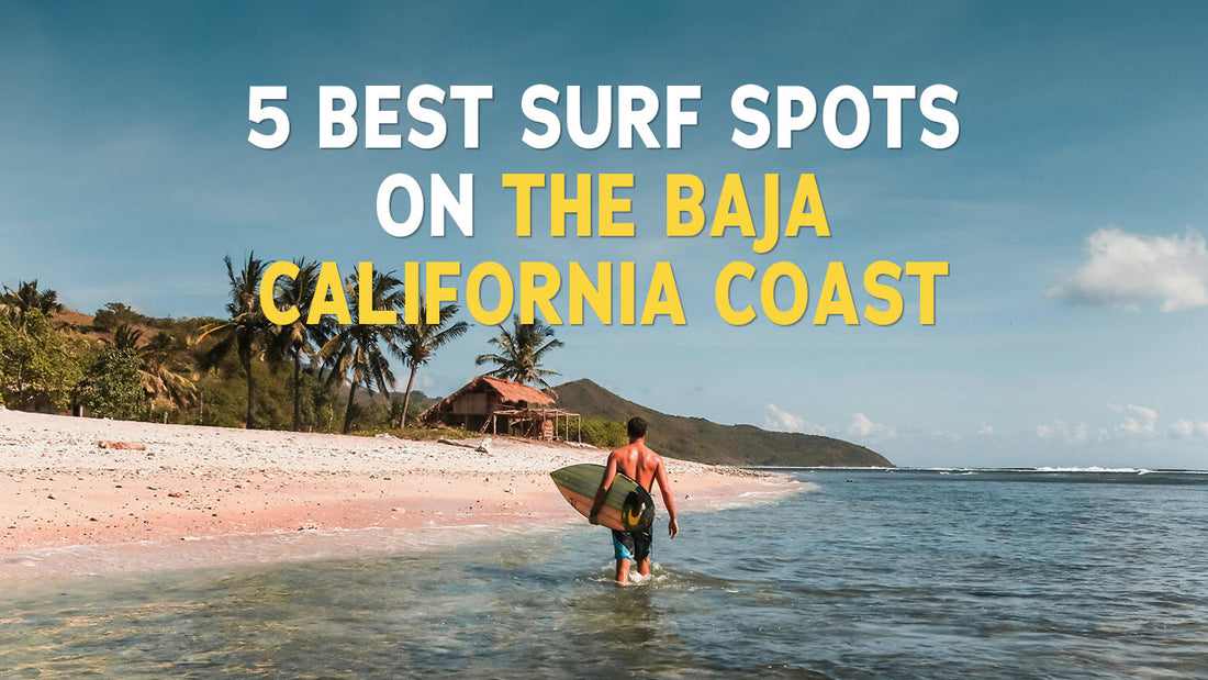 5 Best Surf Spots on the Baja California Coast