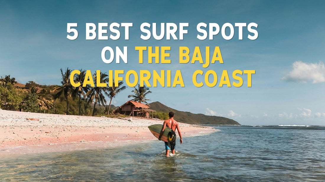 5 Best Surf Spots on the Baja California Coast