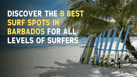 Find the best surfing beaches in Barbados