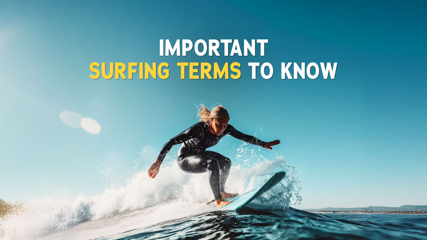 Surf Word Important Surfing Terms to Know for Beginners and Pros Alike ...